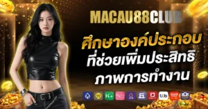 macau88vip