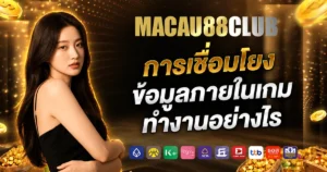 macau88vip